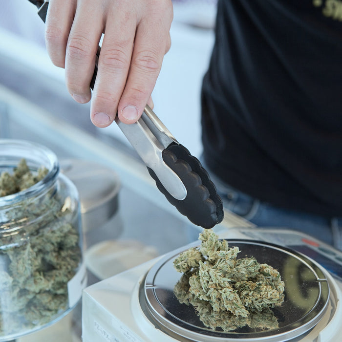 cannabis