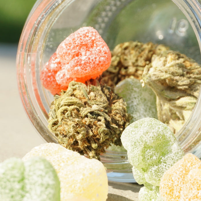 A Guide to Crafting Tasty, Responsible, and Legal Cannabis-Infused Edibles