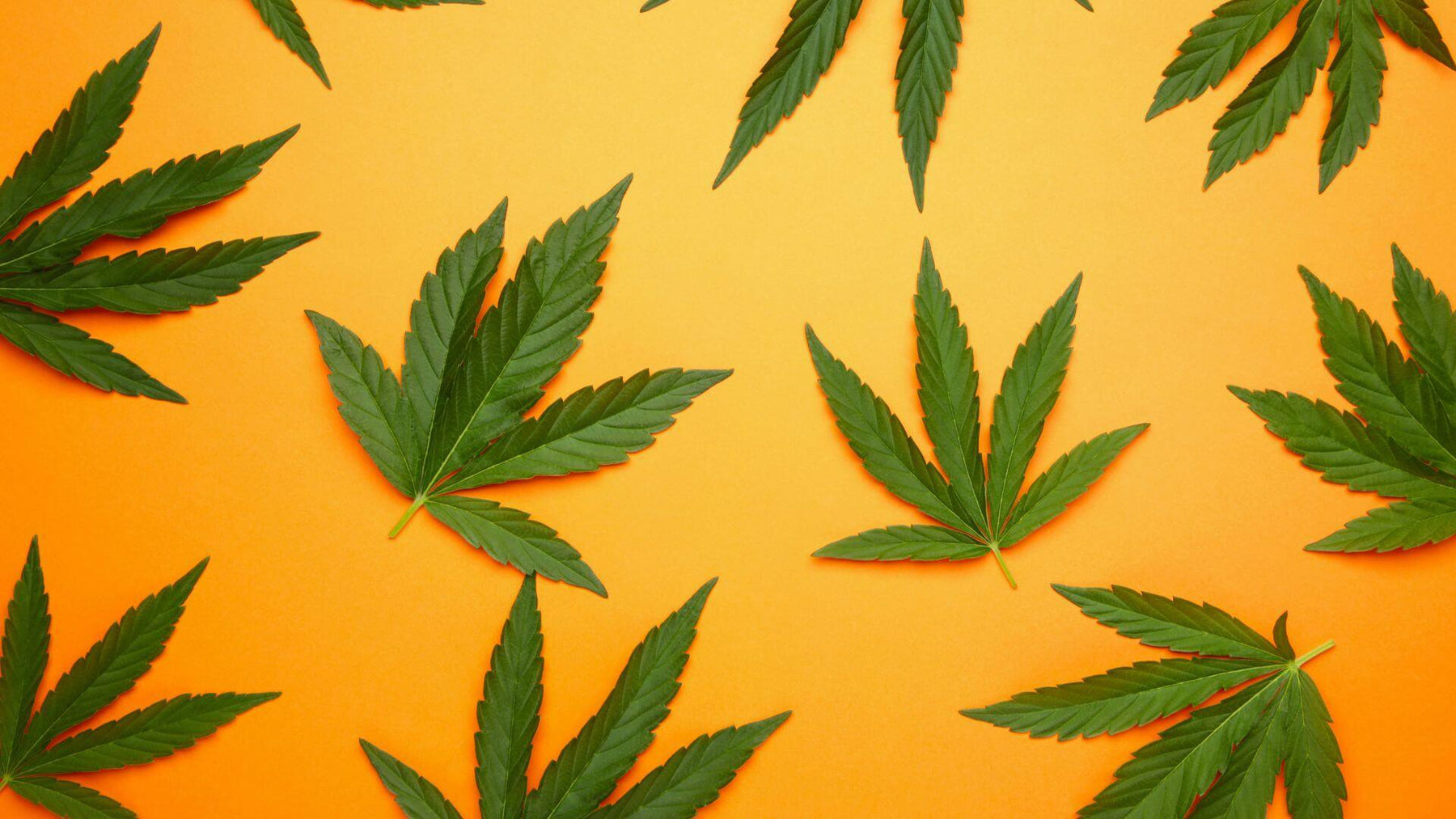 HHC vs. THC-O: What Consumers Need to Know - Happi