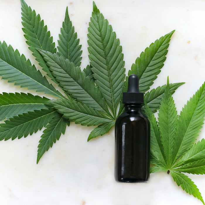 cannabis