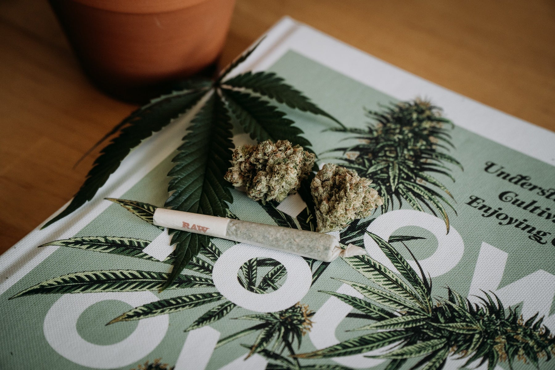 Weed