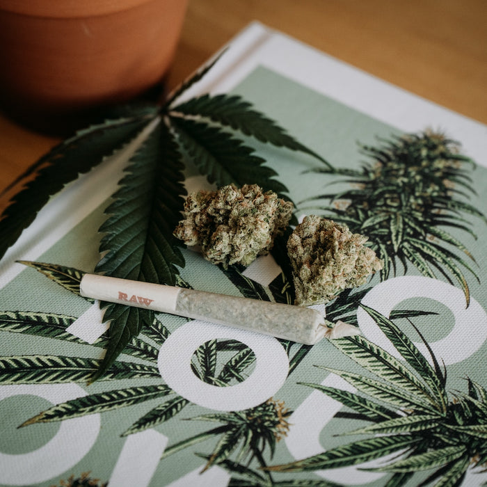 Delta-8 vs. Delta-9 THC: Breaking Down the Differences and Implications for Legal Cannabis