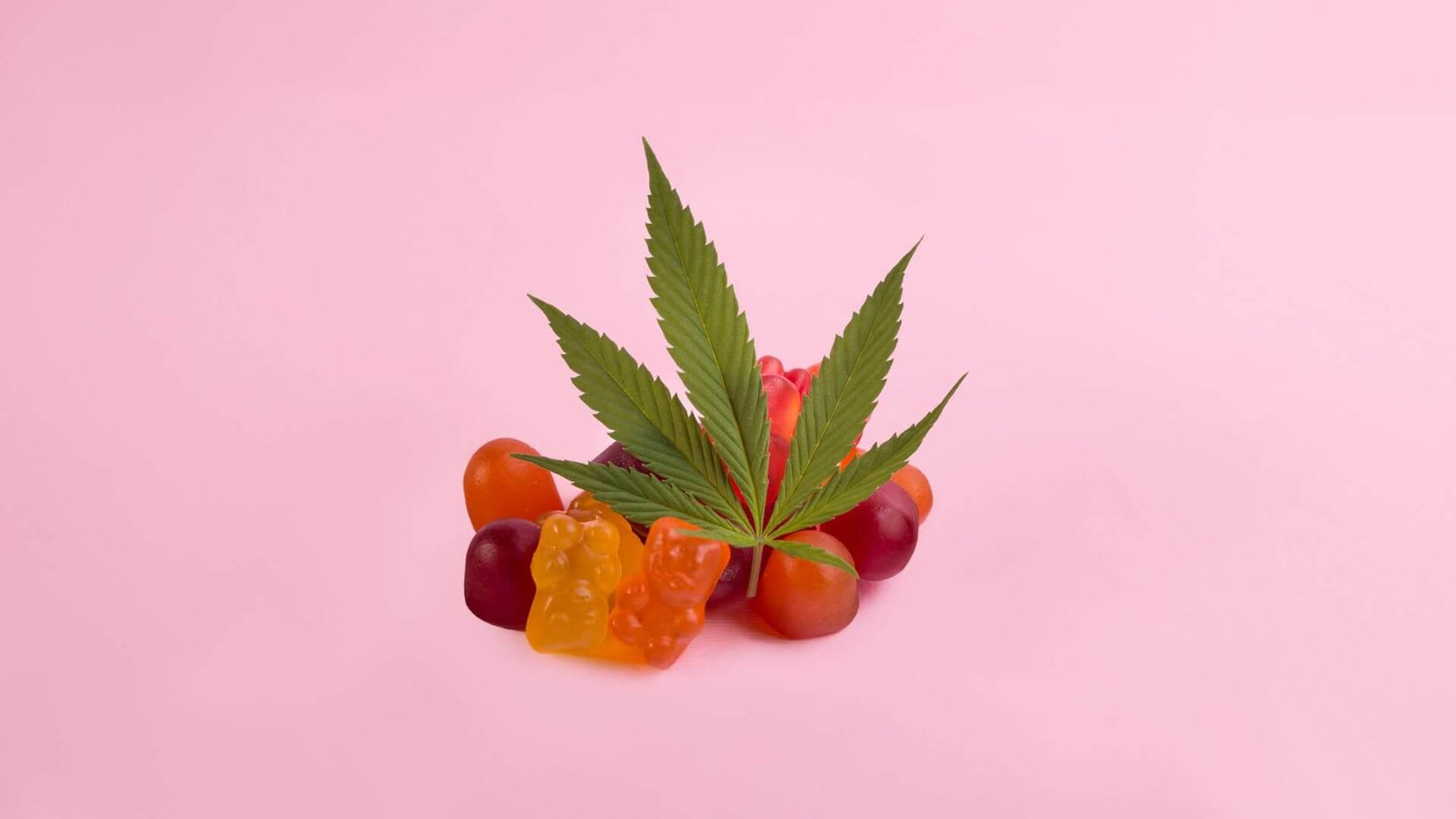 Debunking 4 of the Most Common Myths about Cannabis Edibles - Happi