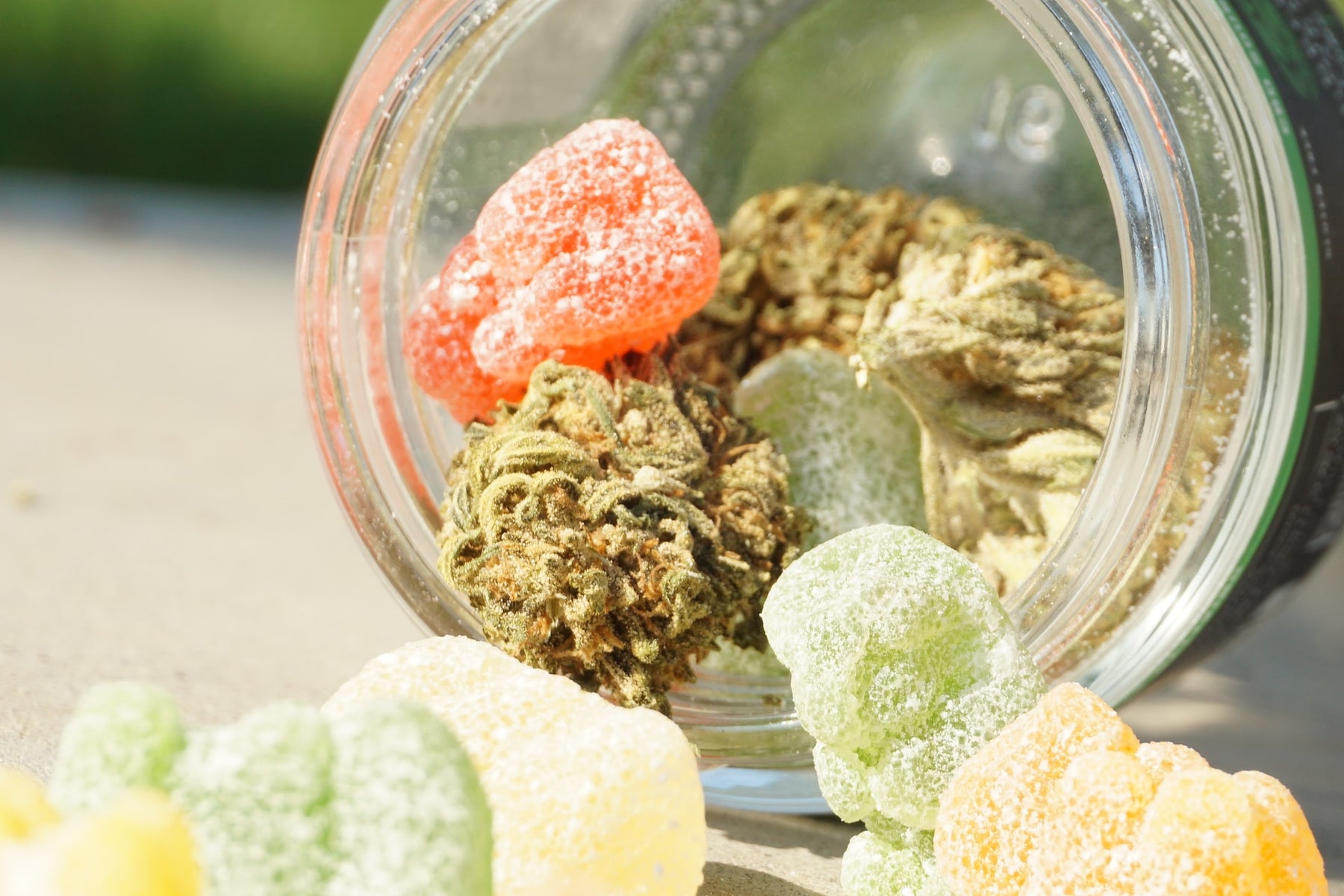 A Guide to Crafting Tasty, Responsible, and Legal Cannabis-Infused Edibles